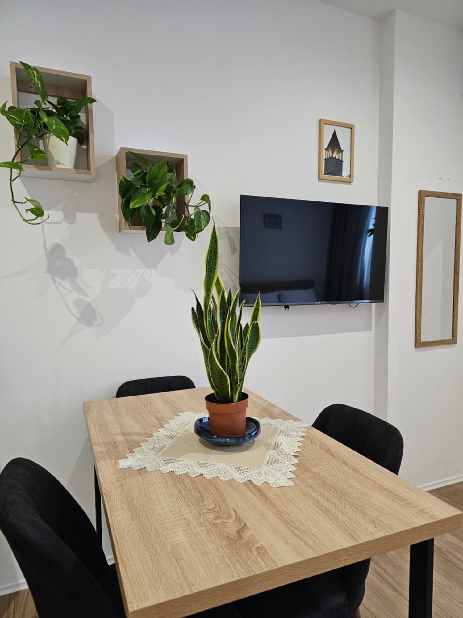 Apartament Apartment's Center Aquilo Tirana