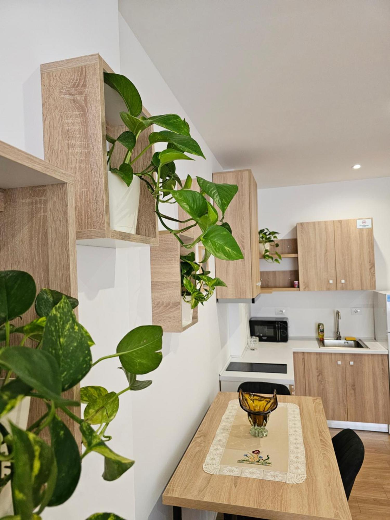 Appartement Apartment's Center Aquilo *